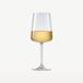 Onis Niveau Wijnglazen 41 cl / 410 ml | Set van 6 Stuks | Transparant Glas | Vaatwasserbestendig