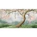 Arbre Papier Peint Panoramique - 496 cm X 255 cm