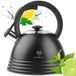 Karl Hausmann bouilloire à induction 3L avec sifflet - acier noir