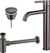 Fortifura Calvi Wastafelkraanset - verhoogde wastafelkraan - klikwaste plug - design sifon - PVD - geborsteld gunmetal (antraciet)