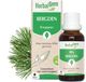 BERGDEN - Bio - Bio - Herbes et plantes - 30 ml