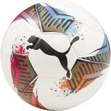 Puma Kinder Futsal 1 TB Voetbal (FIFA Quality Pro) - Maat 4