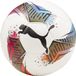 Puma Kinder Futsal 1 TB Voetbal (FIFA Quality Pro) - Maat 4