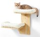 Ensemble d'escalade pour chats en bois massif