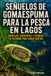 Señuelos de gomaespuma para la pesca en lagos: Montajes, atrayentes y técnicas de recogida para aguas quietas