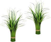 Kunstgras Bol Kunstgrasbos staand gras grasbundel gras struik plukjes gras decoratief gras kunstgras planten siergras decoratieve grassen groene plant kunstplant kunstbloemenstruik plantenbank solitair gras decoratieve plant