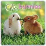 Cute Gifted Stationery Cute Bunnies - Niedliche Kaninchen 2027 - 16-Monatskalender