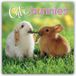 Cute Gifted Stationery Cute Bunnies - Niedliche Kaninchen 2027 - 16-Monatskalender
