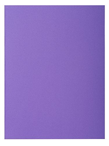 Exacompta Nature Future Bahia - 100 stuks - 220 grams