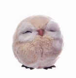 Uil Bal Mignon (Ø12cm) décoration de Noël suspendue, beige