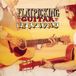 Sonic Rendezvous Various Artists - Flatpicking Guitar Festival (CD)