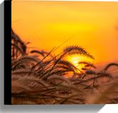 Merkloos / Sans marque Take your time Canvas - Stappel Grassen bij Felkleurige Zonsondergang in het Oranje - 30x30 cm Foto op Canvas Schilderij (Wanddecoratie op Canvas)
