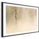 Affiche Colibris Beige