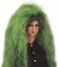 Rommelige Fiestas Guirca Heksenpruik Groen Zwart Kunsthaar Volwassenen Halloween Kostuum Accessoire