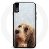 Maniacase Hoes voor Oppo A74 5G Turkse van witte kat met blauwe en gele ogen