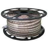 Blendend 50 m 10 mm hoogspanning ledstrip blauw