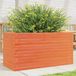 Maison Exclusive - Pot de fleurs pour le jardin, brun foncé, 90 x 40 x 46 cm, bois de pin massif