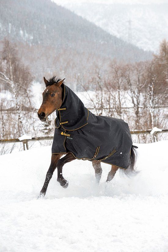 Bucas Irish Turnout Full Neck 50gr Zwart-goud - 140