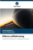 Mikro-Luftfahrzeug: OmniScriptum SRL Mikro-Luftfahrzeug: Instationäre Aerodynamik, niedrige Reynolds-Zahl
