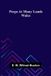 Peeps Libri GmbH Peeps at many lands: Wales Paperback