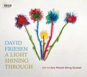 New Arts International Bv Friesen, David & Kyiv Mozart String Quartet - A Light Shining Through