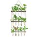 XXXFLOWER Wandhangend kweekstation met houten standaard, 5 glazen reageerbuizen, 3 gelaagde plantenbakken, wandterrarium voor thuiskantoor, plantenhanger, bloemenvazen, muurdecoratie