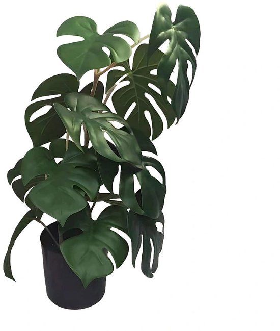 Buitengewoon Boet Buitengewoon de Boet Monstera 46 cm kunstplant