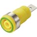 TRU COMPONENTS MP-32 vert-jaune prise de sécurité encastrable prise