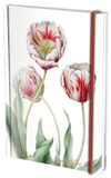 Bekking & Blitz Notitieboek A5, harde kaft: Tulipa 'Teyler', Anita Walsmit Sachs