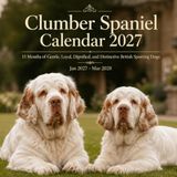 Clumber Spaniel 2027 Calendar