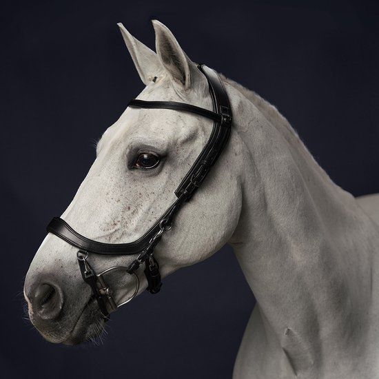 Presteq Hoofdstel FaySport Zwart - Bitloos - Leer - Paard - Full