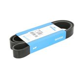 Dayco 8PK1560 V-riem geribbeld