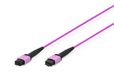 Digitus DK-2566-10/4 InfiniBand et câble fibre optique 10 m MPO/MTP violet