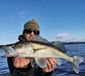 Savage Gear Monster Slug 25cm 50g Pearl Apple