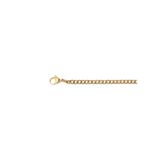 iXXXi Men-Flat Chain-Goudkleurig-Heren Collier