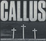 Warp Records Warp Callus