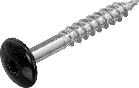Hoenderdaal Fasteners Hoenderdaal HPL Schroef RVS-A2 Torx TX20 Gitzwart RAL9005 4.8x38 | 100 stuks