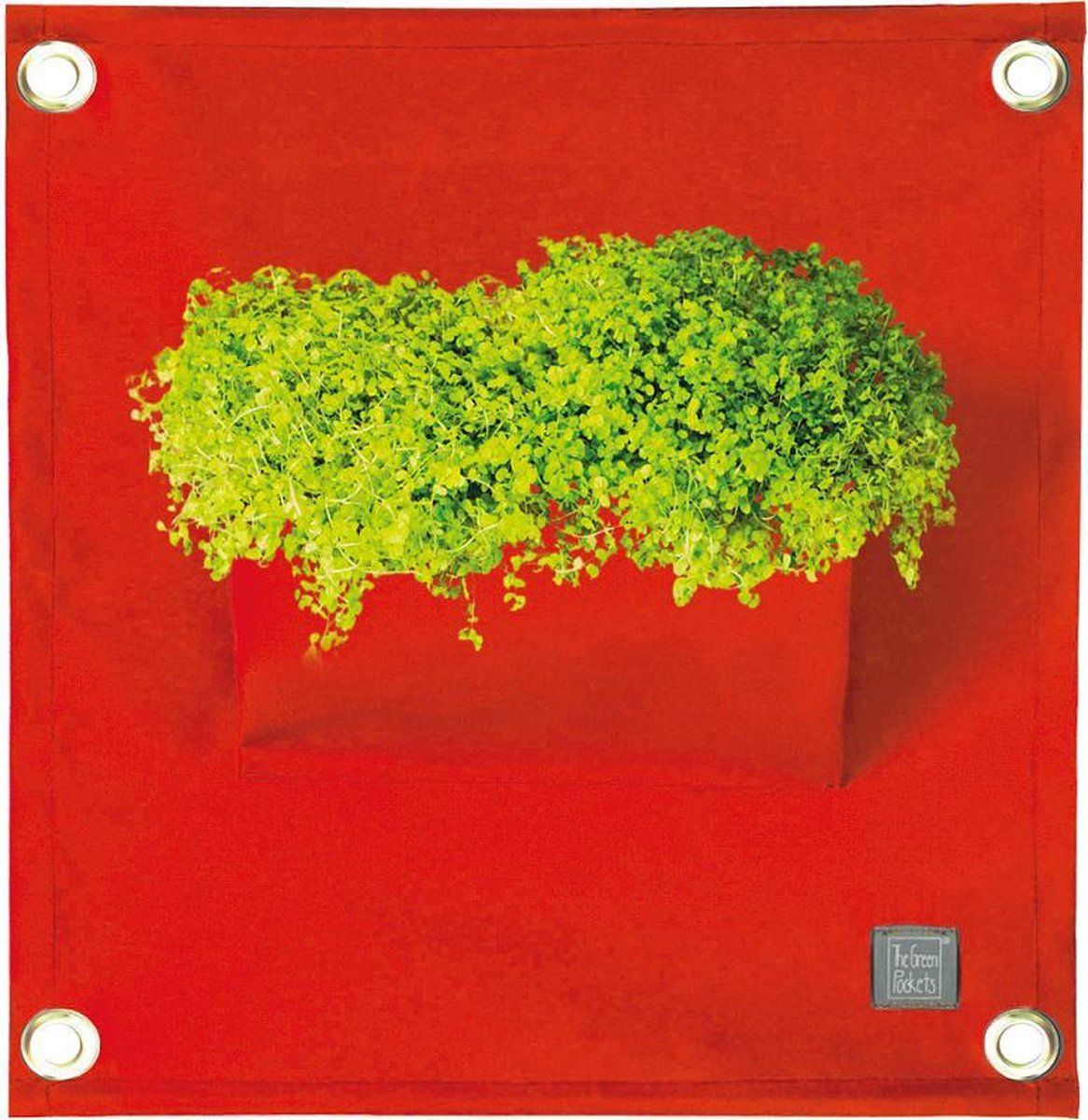 Bloomingwalls Plantenbak The Green Pockets AMMA1 - Red - EAN: 8595604400032