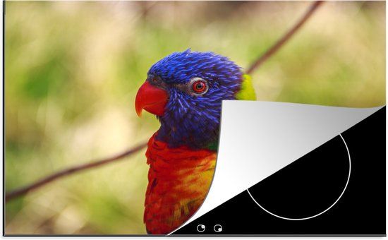 KitchenYeah® Inductie beschermer 77x51 cm - Vogel - Parkiet - Blauw - Inductiebeschermer voor Inductie Kookplaat