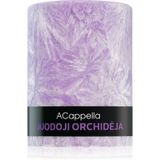 ACappella Black Orchid
