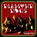Sonic Rendezvous Diamond Dogs - Suicide City (LP)