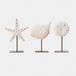 Loberon Decoratief element set van 3 Havsberg antiekwit/zwart