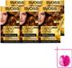SYOSS Oleo Intense 6-78 Koperblond Coloration pour cheveux - Coloration permanente - 6 Pièces