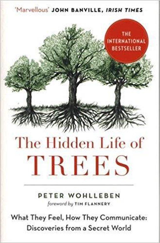 The HarperCollins Publishers The Hidden Life of Trees