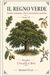IL REGNO VERDE: Botanica sistematica, alberi e nomenclatura scientifica
