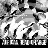 Warp Vision Of A Psychedelic Africa