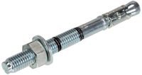 Rawlplug Rawl Doorsteekankers M12 x 100mm Verzinkt (50 stuks)
