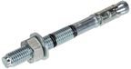 Rawlplug Rawl Doorsteekankers M12 x 100mm Verzinkt (50 stuks)