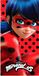 New Import ni-821 – 256 strandhanddoek met Lady Bug, polyester, 30 x 5 x 35 cm