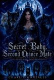 Secret Libri GmbH Secret Baby Second Chance Mate Paperback